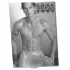 Real Cocks 2027 - erotic wall calendar (10 pcs)