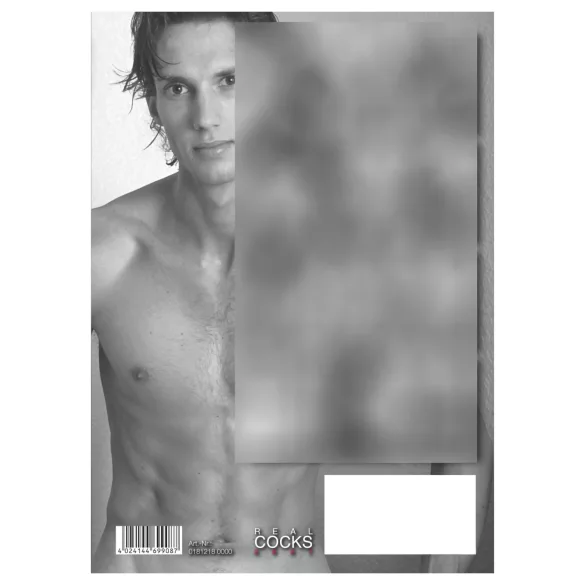 Real Cocks 2027 - erotic wall calendar (10 pcs)