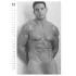 Real Cocks 2027 - erotic wall calendar (10 pcs)