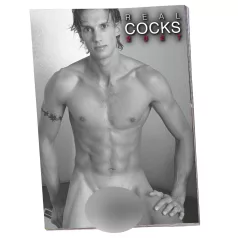 Real Cocks 2027 - erotic wall calendar (1 piece)