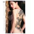 Tattoo Girls 2027 - erotic wall calendar (1 pc)