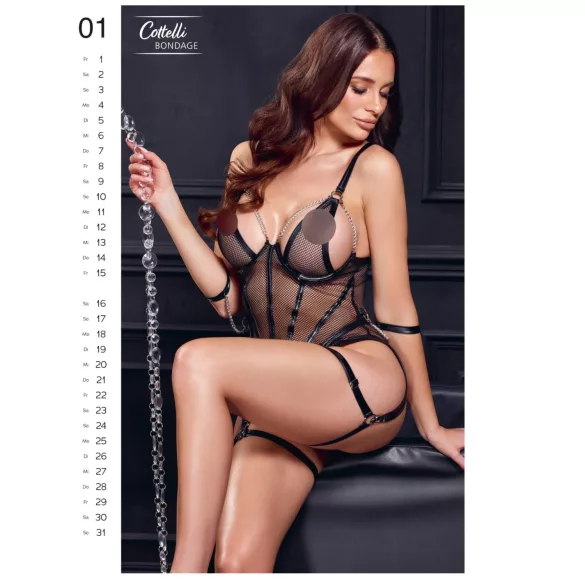 Exclusive Girls 2027 - erotic wall calendar (1 pc)