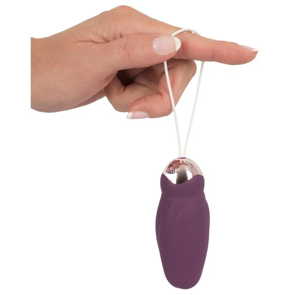 Javida - Rotating Beaded Vibrating Egg with Remote (Purple)