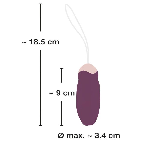 Javida - Rotating Beaded Vibrating Egg with Remote (Purple)