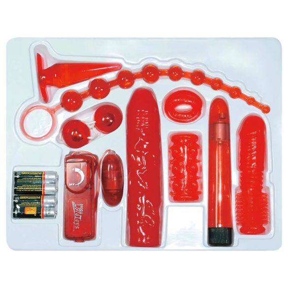 You2Toys - Red Roses - Vibrating Kit (9 Pieces)