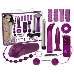 You2Toys - Erotic Surprise - 12-Piece Vibrator Set