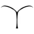 Noir - Glossy Effect Thong (Black)