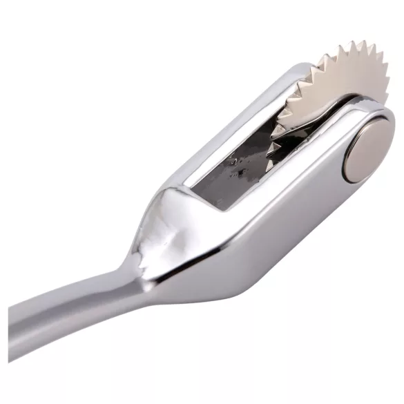 Roomfun - Wartenberg Wheel (silver)