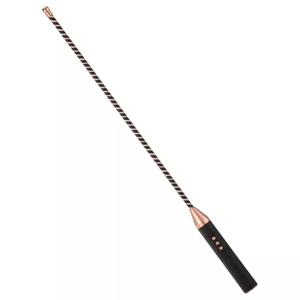 Roomfun - electric shock rod (black)