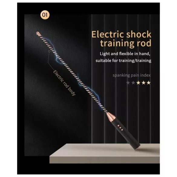 Roomfun - electric shock rod (black)
