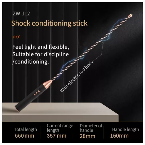 Roomfun - electric shock rod (black)