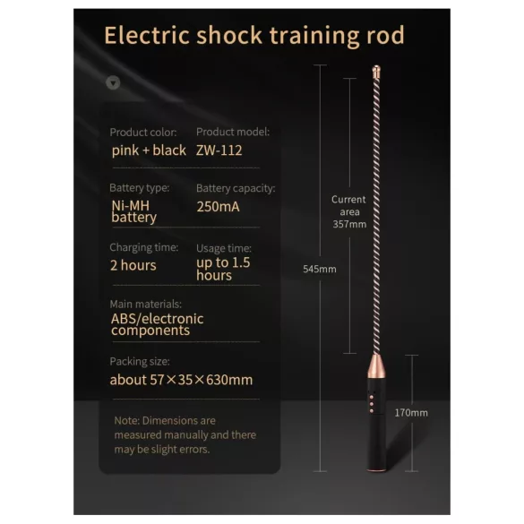 Roomfun - electric shock rod (black)