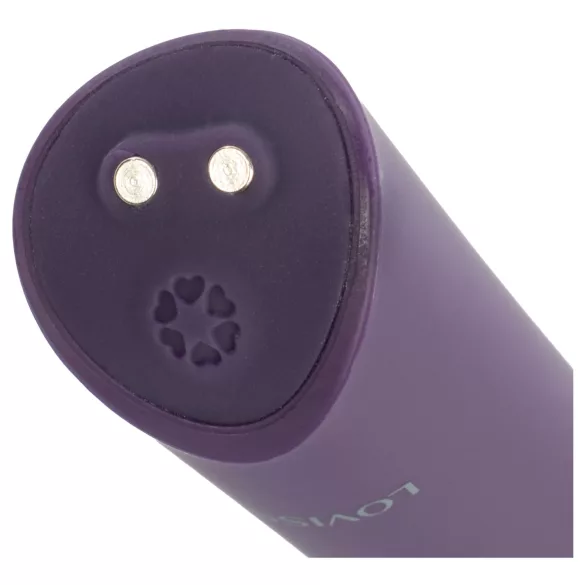LOVISS Flower - mini wand vibrator (purple)
