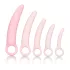 CalExotics Inspire - Health & Wellness Vaginal Dilator Set (Pink)