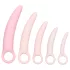 CalExotics Inspire - Health & Wellness Vaginal Dilator Set (Pink)