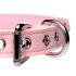 Master Series Golden Kitty - Bow Collar with Bell (Pink)