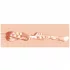 XKIN Teacher Ms Jenny - lifelike vagina masturbator (natural)
