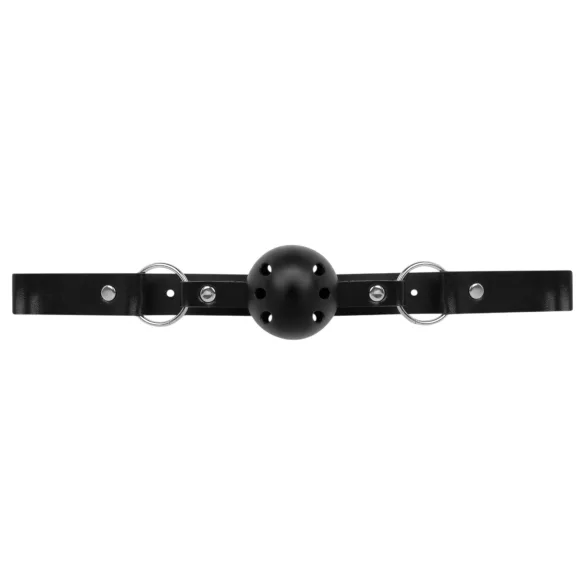 Secret Pleasure Chest - Advanced BDSM Kit - 14‑Piece (Black)