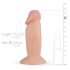 Real Fantasy Archi - Lifelike Dildo - 4.5" (Natural)