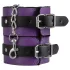 Secret Pleasure Chest - Advanced BDSM Kit (14‑Piece)