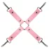 Secret Pleasure Chest - Advanced BDSM Kit - 14‑Piece (Pink)