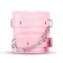 Advanced BDSM Set - 14-Piece Secret Pleasure Chest (Pink)
