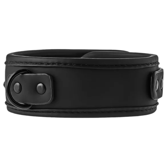 Blaze - Black Collar & Leash Set