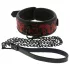 Dreamtoys Blaze - collar and leash set (red)