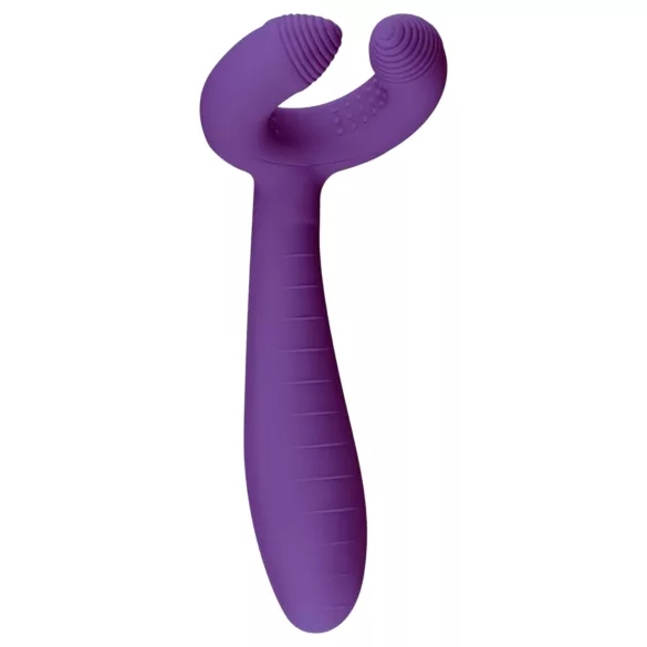 Easytoys Couple - Rechargeable, Waterproof Couple's Vibrator (Purple)