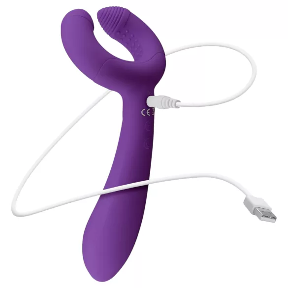 Easytoys Couple - Rechargeable, Waterproof Couple's Vibrator (Purple)