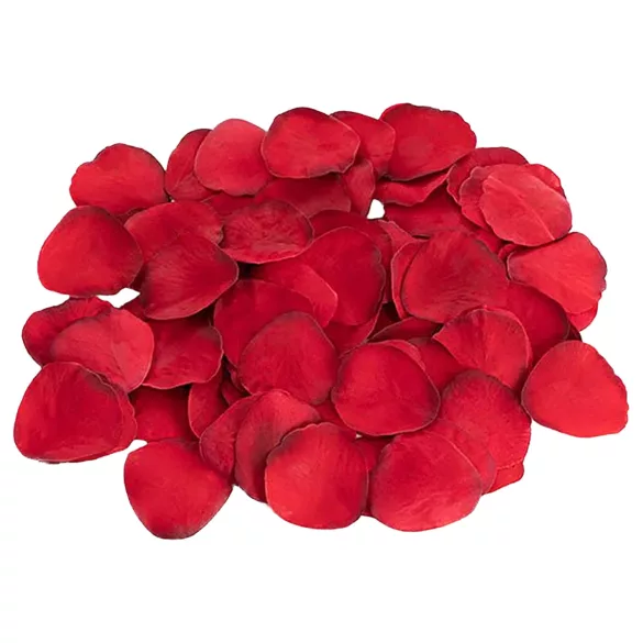 Dreamtoys Amour - anal training gift set (red)