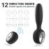 Aixiasia Dylon Remote - Black Rechargeable Wireless Anal Vibrator